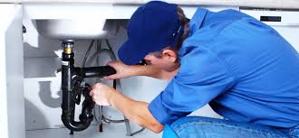 Trusted Brices Creek, NC Plumbung Services Experts